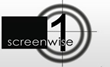 Private Acting Lessons Now Available At Screenwise In Sydney