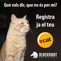 .cat domain name promotion