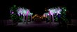 It’s Official: Holiday Spirit Shines On Coastal NC with Enchanted...