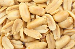 Pine Nuts Nutrition | Pine Nuts Weight Loss
