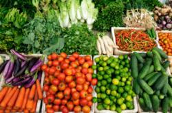 Organic Farm | Organic Food