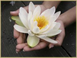 Ayurveda Panama