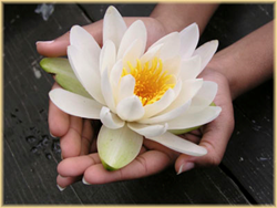 Yoga and Ayurveda, Bogota Colombia