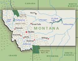 Montana Business Plan Writer