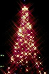 Idyllwild 100-foot Christmas Tree