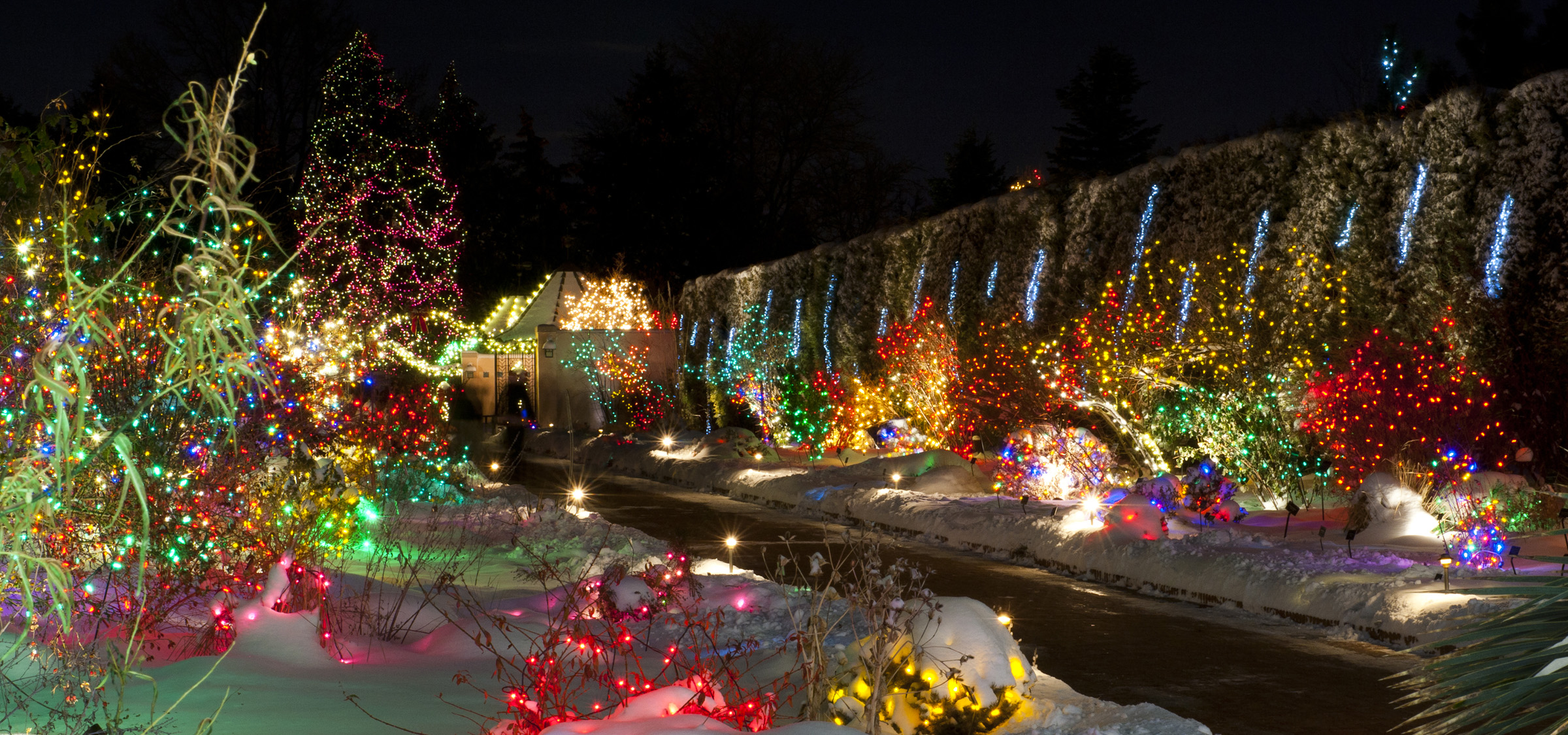 Swingle Shares Best Places to View Christmas Lights in Denver & Fort