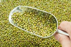Green Coffee Bean Diet | Free Bottles