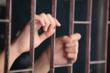 Criminal Records Search Now Offered Online by Inteligator