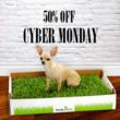 Cyber Monday For The Dogs: Fresh Patch Real-Grass Dog Potty Will Be...