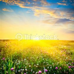 LifeParticle.com videos on yoga, meditation and healthy living