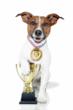Who are the Best of the Best in the Dog Industry?