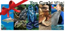 National Aquarium Amazing Experiences Sweepstakes