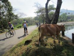 Bicycling India