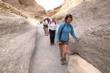 Death Valley Guided Tour with Hiking, Nature & Wildflowers...