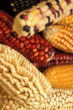 Friedrich Consulting & Research, LLC Announces Discovery of New...