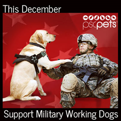 This December Support Military Working Dogs
