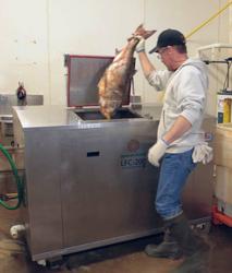 Putting fish into the digester machine