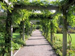 gardening wholesale