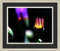 "Pinpoint Radiance" by Karl Coughtry