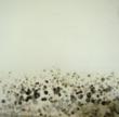 Possible Mold Infestation at Queens School Worries Parents; Doctor...