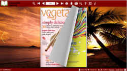 PDF to Flash Magazine Pro