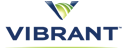 Vibrant Media, the global leader of in-content contextual technology