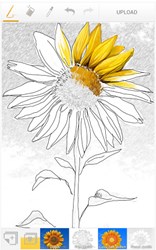 Paint App, Android Paint App, Free Paint App, Free Painting App, Free Drawing App