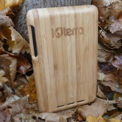 Bamboo Nexus 7 Case