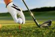 AED.com Recommends Every Golf Course Be Equipped with an AED