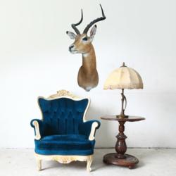 Wallsneedlove.com introduces adhesive taxidermy. Pictured: antelope head.