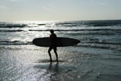 boardshorts