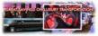 Stay Safe and Stylish this Holiday Season with Action Limousines in...