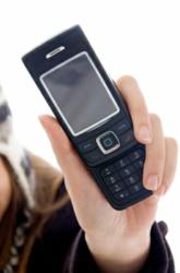 Phone Number Search