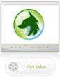 Fox Web Creations Launches Full Service Video Production