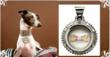 Wags and Tags custom pet jewelry launches sweepstakes with Sweepstakes...
