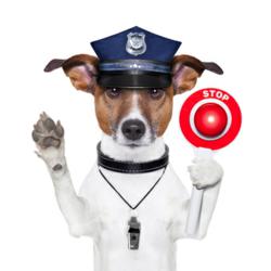 Police.us.org