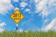 Best Investments for 2013 Now Added Online at TedThomas.com