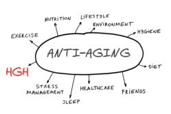 Health and Hormones
