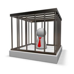 Prison.us.org