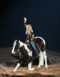 Houston Rodeo Concert Tickets Prices Have Been Lowered for Bruno Mars,...