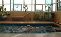 Endless Pool, Swimming Pool, Water Exercise, Indoor Pool, Swim Spa
