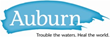 Auburn Theological Seminary Announces Bold New Strategic Plan