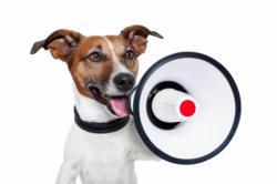Dogington Post uses Social Media to Raise Awareness for National Dog Charity