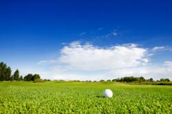 10th Annual Charity Golf Tournament in Palm Desert