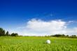 10th Annual Charity Golf Tournament in Palm Desert Gives Back and is...