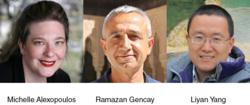 CIGI-INET Research Grants