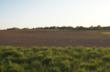 Sohn & Associates Auctions $8.6 Million of Indiana Farmland in...