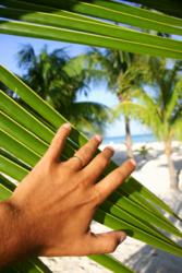 Property hunter explores beach front real estate in Belize
