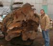 Wood-Mizer Announces Six Winning Sawmill Businesses in National...