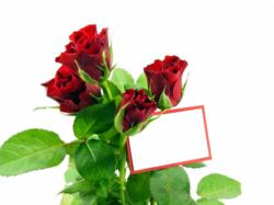 download flower delivery deals groupon